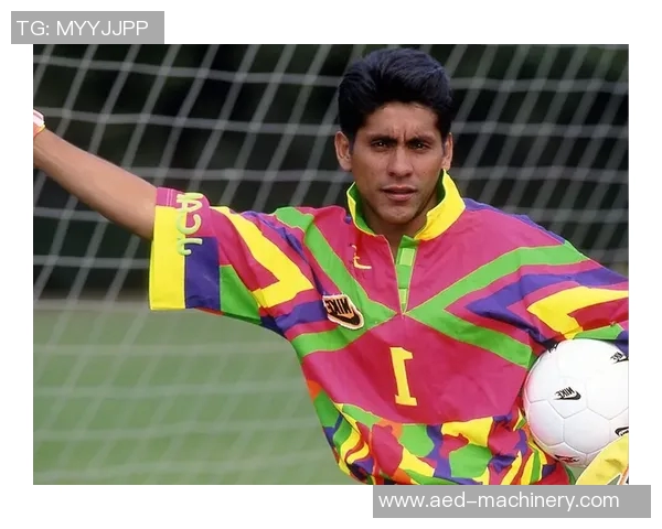 足球传奇的荣耀与奋斗：探寻著名足球明星背后的故事与成就