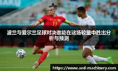 波兰与爱尔兰足球对决谁能在这场较量中胜出分析与预测